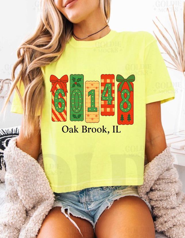 Personalized Christmas Shirt design, Custom Zip Code Town Name, Cute Pastel Christmas Village Shirt, Personalized Holiday Gift, State code