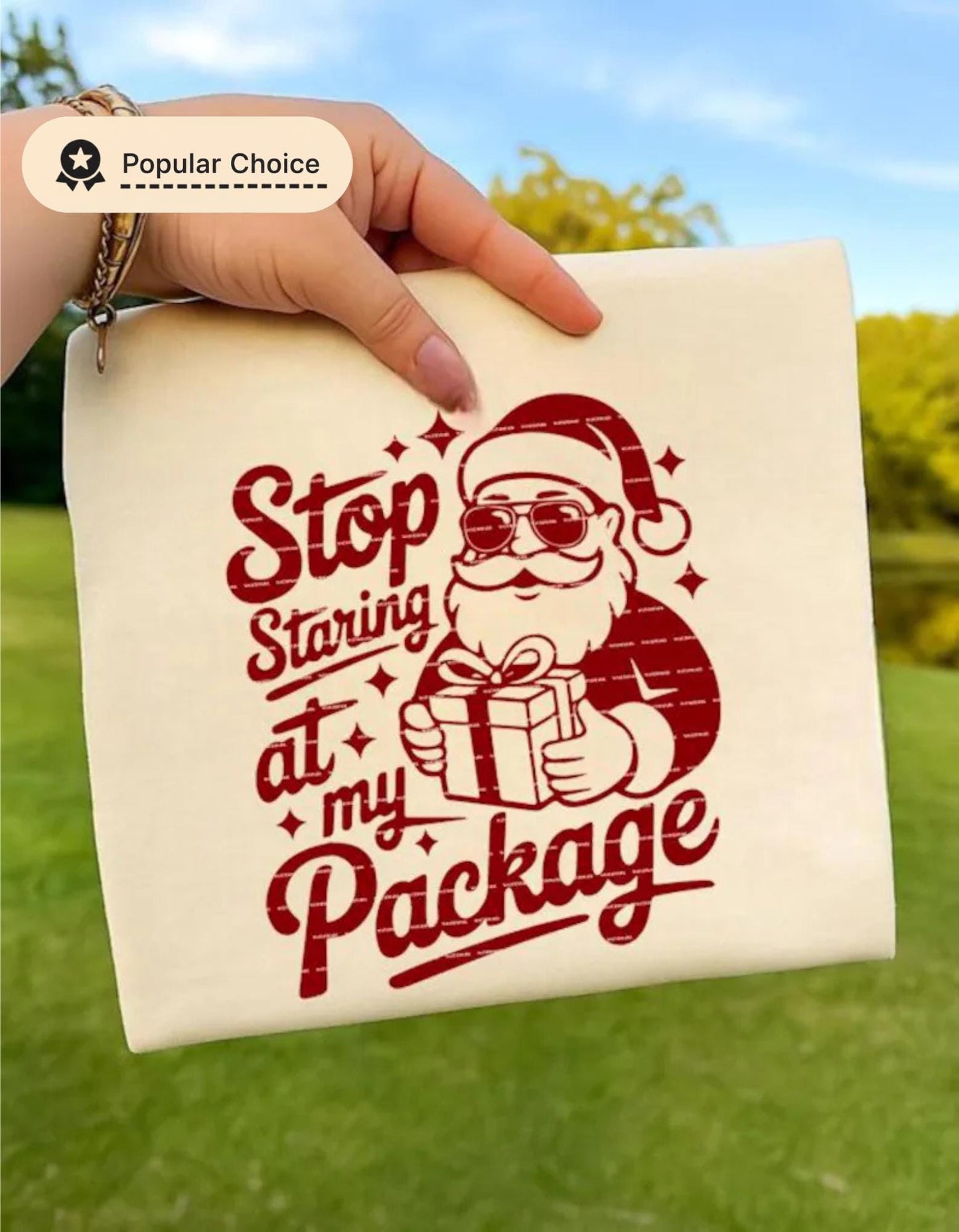 Funny Santa Christmas SVG PNG, Stop Staring at My Package Design, Adult Humor Xmas Graphic, Naughty Santa Shirt, Funny Sublimation Clipart